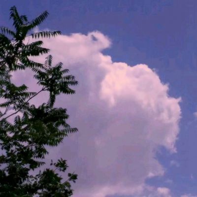 逍遥外传手游下载